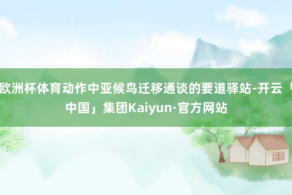 欧洲杯体育动作中亚候鸟迁移通谈的要道驿站-开云「中国」集团Kaiyun·官方网站