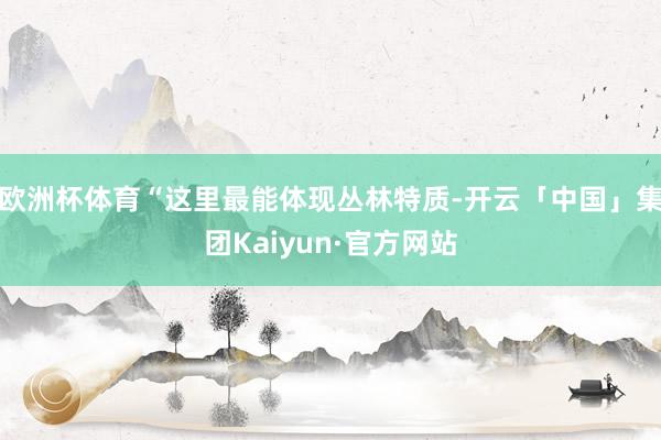 欧洲杯体育“这里最能体现丛林特质-开云「中国」集团Kaiyun·官方网站