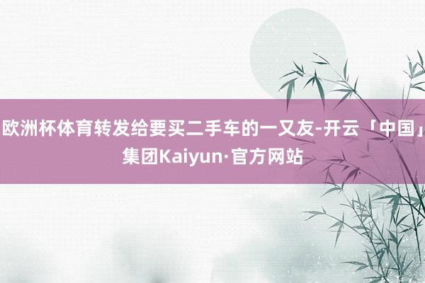 欧洲杯体育转发给要买二手车的一又友-开云「中国」集团Kaiyun·官方网站