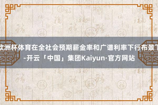 欧洲杯体育在全社会预期薪金率和广谱利率下行布景下-开云「中国」集团Kaiyun·官方网站