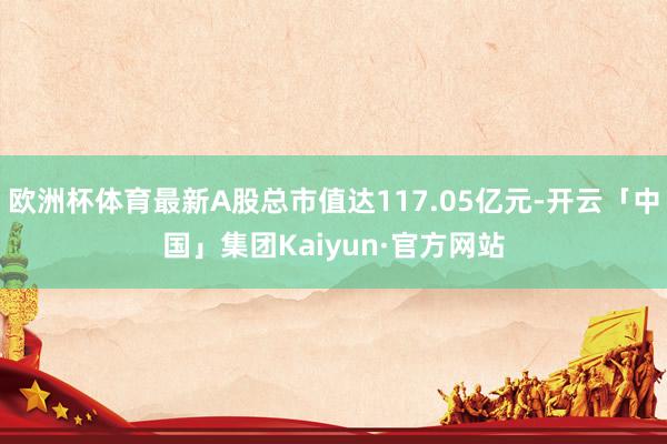 欧洲杯体育最新A股总市值达117.05亿元-开云「中国」集团Kaiyun·官方网站