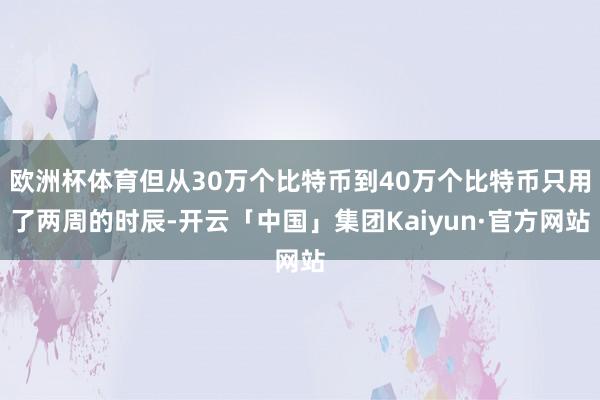 欧洲杯体育但从30万个比特币到40万个比特币只用了两周的时辰-开云「中国」集团Kaiyun·官方网站