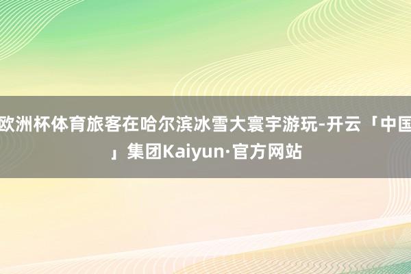 欧洲杯体育旅客在哈尔滨冰雪大寰宇游玩-开云「中国」集团Kaiyun·官方网站