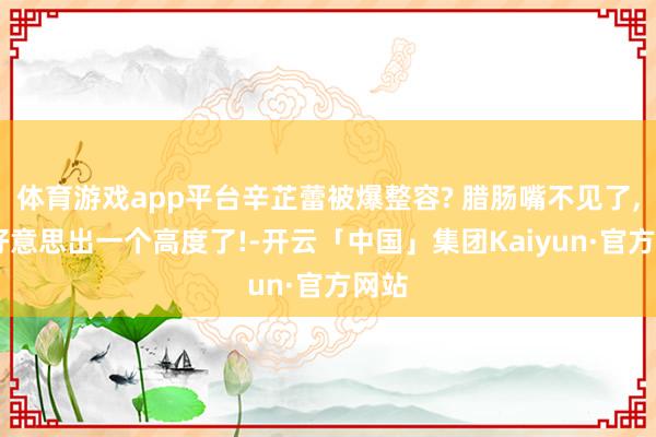 体育游戏app平台辛芷蕾被爆整容? 腊肠嘴不见了, 又好意思出一个高度了!-开云「中国」集团Kaiyun·官方网站
