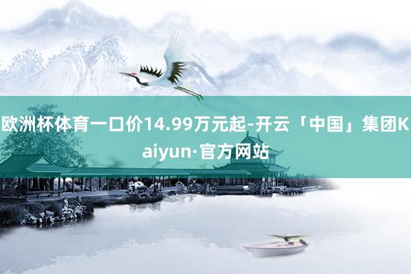 欧洲杯体育一口价14.99万元起-开云「中国」集团Kaiyun·官方网站