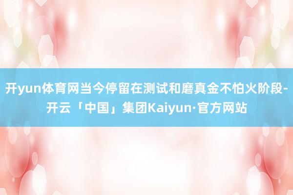 开yun体育网当今停留在测试和磨真金不怕火阶段-开云「中国」集团Kaiyun·官方网站