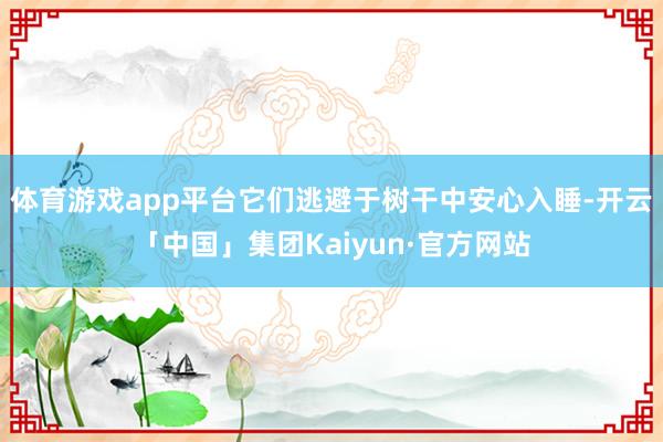 体育游戏app平台它们逃避于树干中安心入睡-开云「中国」集团Kaiyun·官方网站