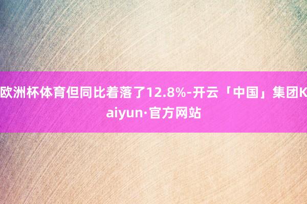 欧洲杯体育但同比着落了12.8%-开云「中国」集团Kaiyun·官方网站