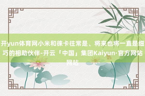 开yun体育网小米和徕卡往常是、将来也将一直是细巧的相助伙伴-开云「中国」集团Kaiyun·官方网站
