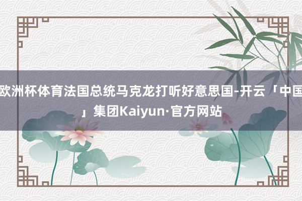 欧洲杯体育法国总统马克龙打听好意思国-开云「中国」集团Kaiyun·官方网站