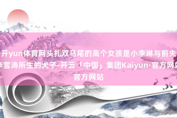 开yun体育网头扎双马尾的高个女孩是小李琳与前夫李雪涛所生的犬子-开云「中国」集团Kaiyun·官方网站