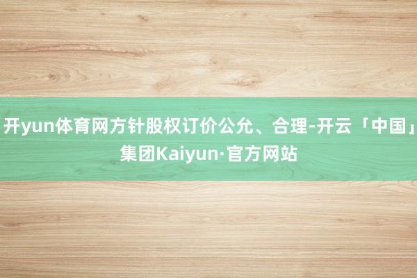 开yun体育网方针股权订价公允、合理-开云「中国」集团Kaiyun·官方网站