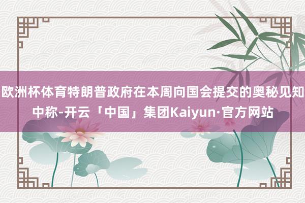欧洲杯体育特朗普政府在本周向国会提交的奥秘见知中称-开云「中国」集团Kaiyun·官方网站