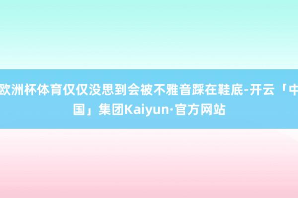 欧洲杯体育仅仅没思到会被不雅音踩在鞋底-开云「中国」集团Kaiyun·官方网站