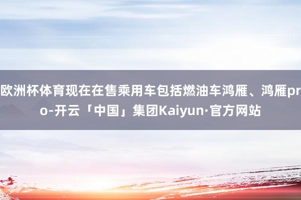 欧洲杯体育现在在售乘用车包括燃油车鸿雁、鸿雁pro-开云「中国」集团Kaiyun·官方网站