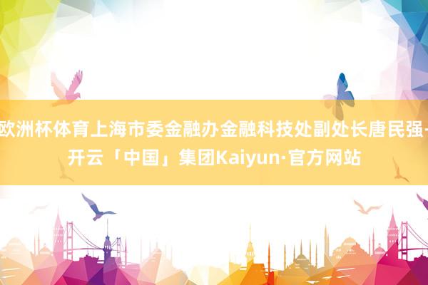 欧洲杯体育上海市委金融办金融科技处副处长唐民强-开云「中国」集团Kaiyun·官方网站