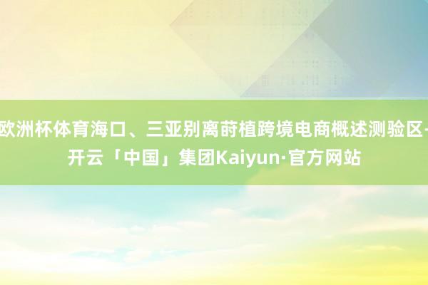 欧洲杯体育海口、三亚别离莳植跨境电商概述测验区-开云「中国」集团Kaiyun·官方网站