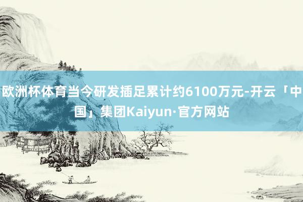 欧洲杯体育当今研发插足累计约6100万元-开云「中国」集团Kaiyun·官方网站