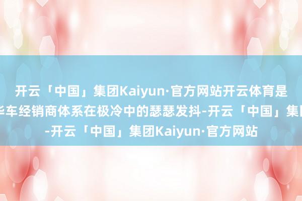 开云「中国」集团Kaiyun·官方网站开云体育是总共这个词传统豪华车经销商体系在极冷中的瑟瑟发抖-开云「中国」集团Kaiyun·官方网站