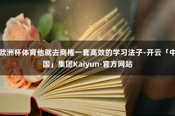 欧洲杯体育他就去商榷一套高效的学习法子-开云「中国」集团Kaiyun·官方网站