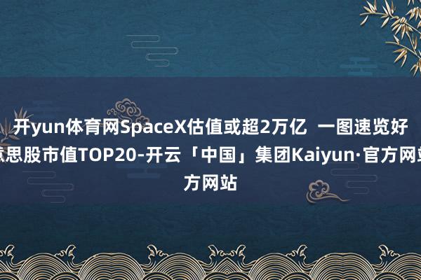 开yun体育网SpaceX估值或超2万亿  一图速览好意思股市值TOP20-开云「中国」集团Kaiyun·官方网站