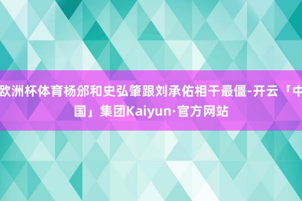 欧洲杯体育杨邠和史弘肇跟刘承佑相干最僵-开云「中国」集团Kaiyun·官方网站