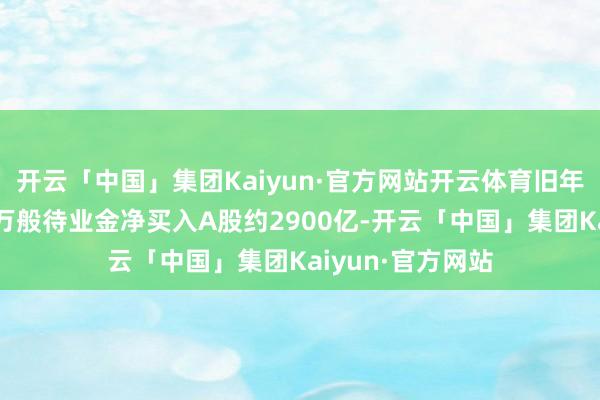 开云「中国」集团Kaiyun·官方网站开云体育旧年9月于今保障、万般待业金净买入A股约2900亿-开云「中国」集团Kaiyun·官方网站