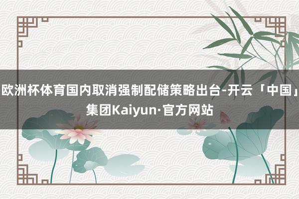 欧洲杯体育国内取消强制配储策略出台-开云「中国」集团Kaiyun·官方网站