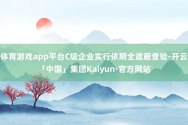 体育游戏app平台C级企业实行依期全遮蔽查验-开云「中国」集团Kaiyun·官方网站