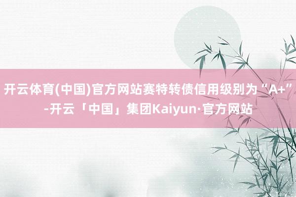 开云体育(中国)官方网站赛特转债信用级别为“A+”-开云「中国」集团Kaiyun·官方网站