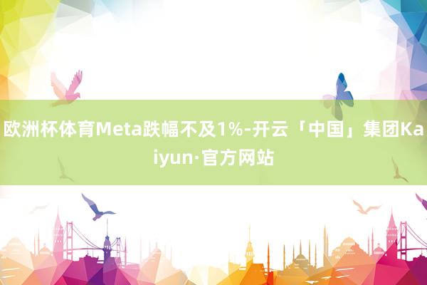 欧洲杯体育Meta跌幅不及1%-开云「中国」集团Kaiyun·官方网站