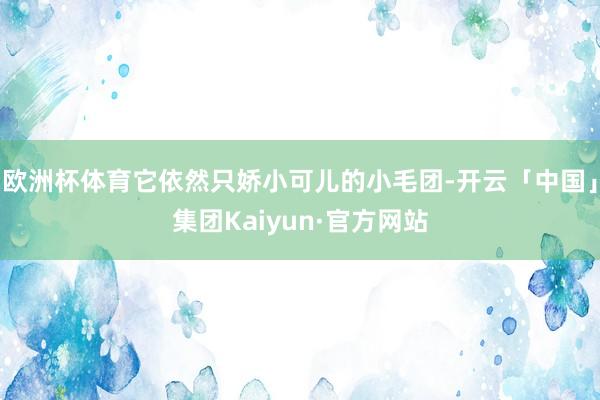 欧洲杯体育它依然只娇小可儿的小毛团-开云「中国」集团Kaiyun·官方网站